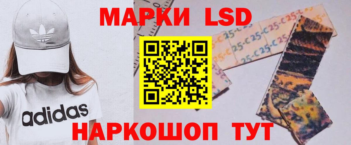 МЕФ Верхняя Пышма