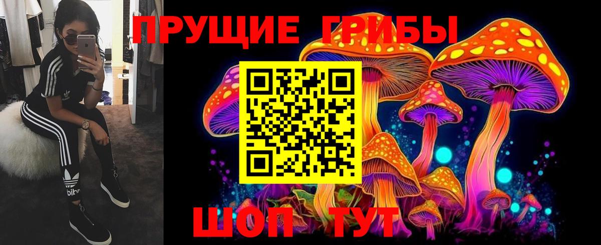 Галлюциногенные грибы Psilocybine cubensis Верхняя Пышма
