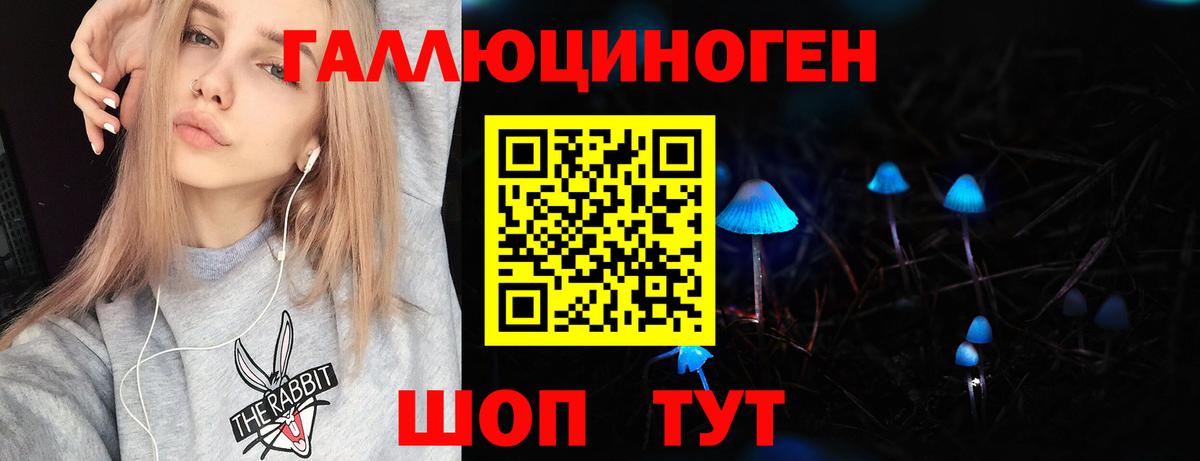 Галлюциногенные грибы Magic Shrooms  где купить наркоту  Верхняя Пышма  Вход с VPN 